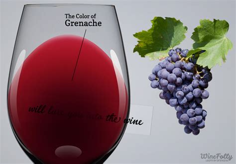 Surprising Facts About Grenache Wine