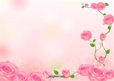 Roses Card Pink Flowers Background Wallpaper Pink Roses Background
