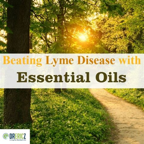 How To Treat Lyme Disease Naturally With Essential Oils Lyme