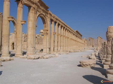 Palmyre (en araméen tadmor = ville des palmiers) est une ancienne ville de syrie, située dans une oasis du vaste désert qui sépare la syrie de l'arabie. Photo : Palmyre l'ancien decumanus