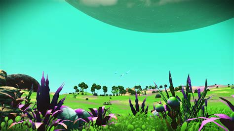 A New Home Lush Moon After A Long Time Of Searching Ive Finally