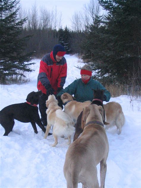 Dr Amanda Glew First Of The Year Montreal Dog Blog