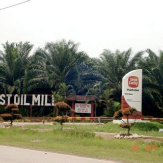 Kuala lumpur — malaysia's biggest palm oil producer sime darby said on friday it is committed to working with environmental groups. 6. Sime Darby oil palm plantations on Carey Island. (photo ...