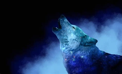 Howling Galaxy Wolf By Kacy559 On Deviantart
