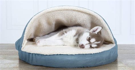 The 6 Best Cheap Dog Beds