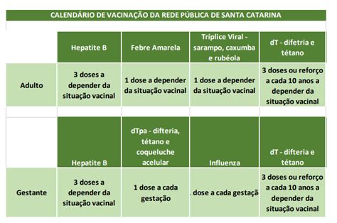 As vacinas aplicadas nas pessoas acima dos 60 anos em sp serão a coronavac e astrazeneca/oxford (crédito: Divulgado calendário de vacinação da Rede Pública de Santa Catarina - AEMFLO