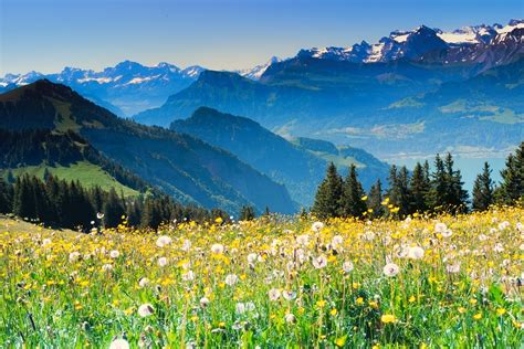 Switzerland Alpine Swiss Alps · Free Photo On Pixabay