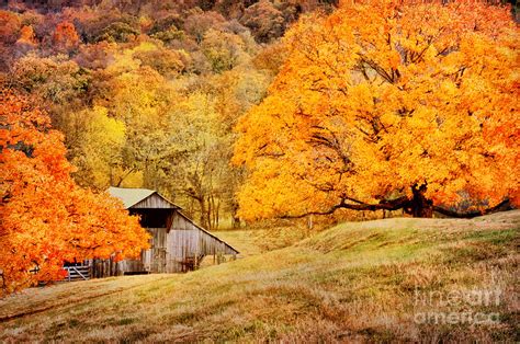 Tennessee Autumn Barn Photograph By Cheryl Davis Fine Art America