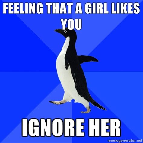 The Best Of Socially Awkward Penguin