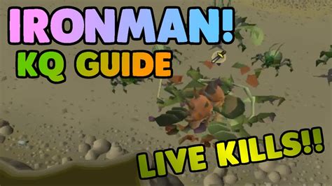Dak here from theedb0ys and welcome to my osrs kalphite queen guide. Ironman Kalphite Queen Ultimate Guide with LIVE Kills! OSRS - YouTube