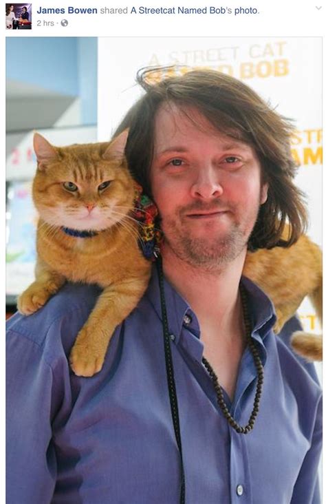 597 Best Images About Streetcat Bob On Pinterest