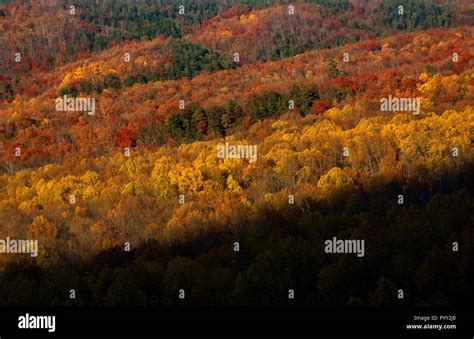 Leaves change colors in Cumberland Gap in the Great Smoky Mountains
