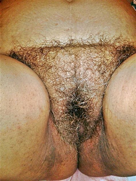 Gray Pussy Pelo Gris Mature Hairy Or Granny Hairy Gray Free Download