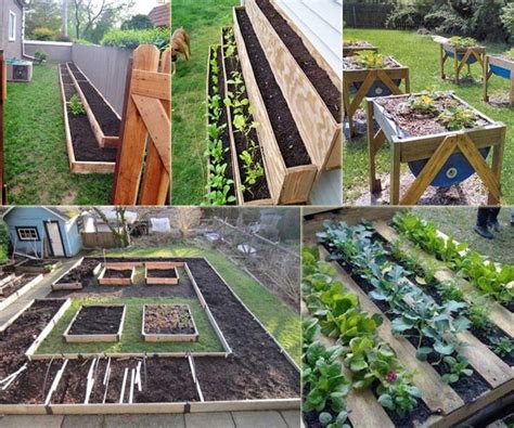 Do you want to start a vegetable garden but unsure about where to start or overwhelmed with what you need to think about before you even begin? 11 Ideas to Make a Small Vegetable Garden