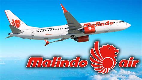 Malindo air said it will cut its capacity to all international destinations this month and will continue to monitor the situation. Boeing's top seller to debut as Malindo takes first Max ...