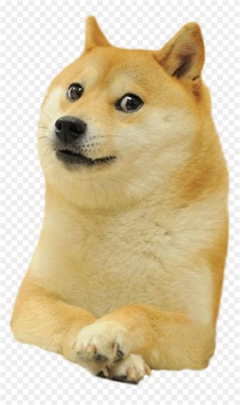 Doge Meme Png In 2020 Doge Meme Doge Doge Dog