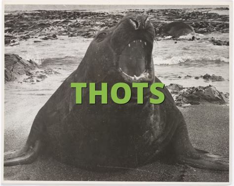Thots What Does Thots Mean