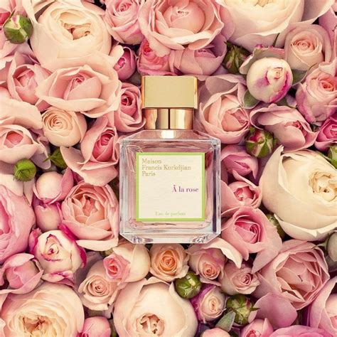 L Eau La Rose Maison Francis Kurkdjian Perfume A New Fragrance For Women