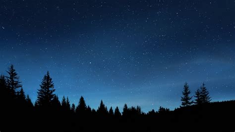 Stars Over The Trees At Night Image Free Stock Photo Public Domain