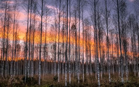 Autumn Sunset Finland By Asko Kuittinen Nw 🇫🇮 Sunset Finland