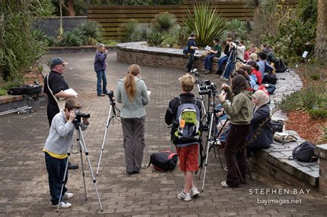photo photography class in the royal botanical gardens sydney australia
