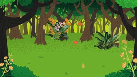 Background Animasi Bergerak Suasana Hutan Youtube