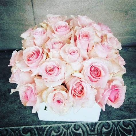 9 Great Florists For Rose Delivery In Miami Petal Republic