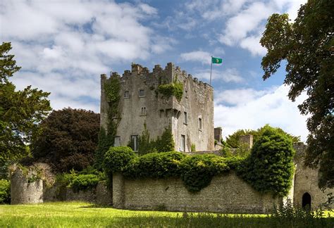 Castles Of Leinster Cloghan Offaly 1 © Mike Searle Cc By Sa20
