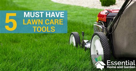 5 Essential Lawn Care Tools Homeowners Should Buy Right Now