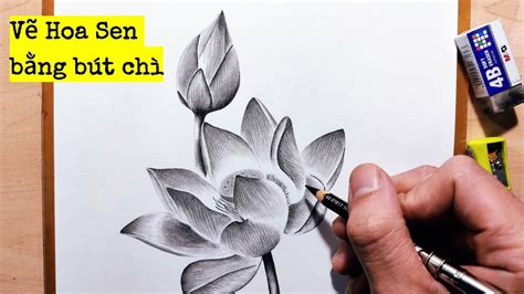 50 Hình Vẽ Hoa Sen đẹp đơn Giản để Trang Trí Slide Thuyết Trình