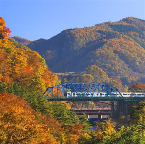 10 Best Fall Foliage Train Rides Fall Leaf Peeping Train Tours