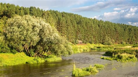 Panorama Of The Summer Landscape On The Banks Of The Ural River With