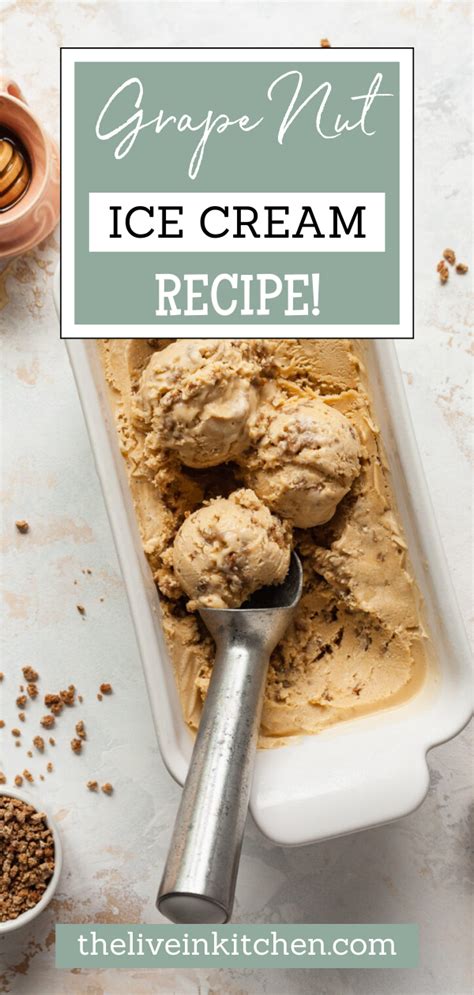 Grape Nut Ice Cream Vegan Ice Cream Recipe Healthy Ice Cream Recipes