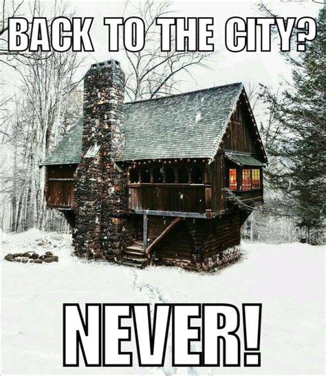 Never Cabin Life Meme Cabins Offgrid Homesteading Countryliving