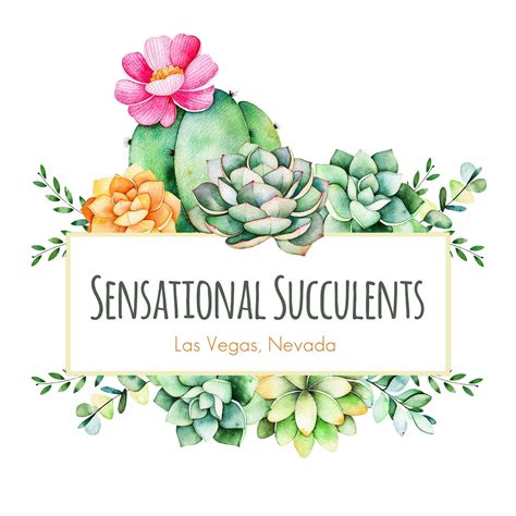 Succulent Floral Cactus Cacti Logo Diy Logo Brand Template Etsy