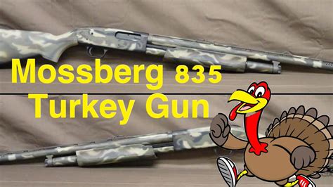 Mossberg Turkey Gun Youtube