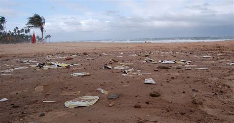 lixo nas praias de salvador chega a 50 toneladas diárias saiba quais são as mais sujas portal