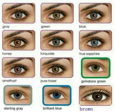 An Eye Chart With Different Colored Eyes And The Names Of Each An Eye
