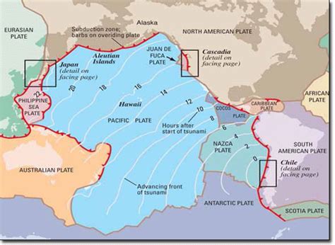 Tsunamis affect new zealand's coastline reasonably frequently and tend to be caused by earthquakes on the pacific plate both locally and as. The most destructive Tsunamis | Chile, 1960