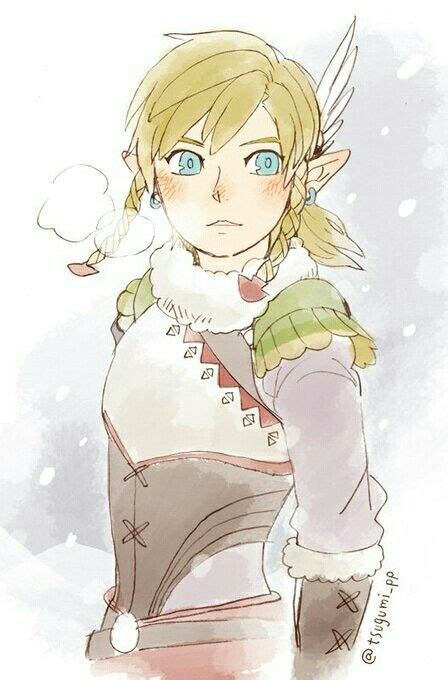 Link Is His Rito Outfit The Legend Of Zelda Legend Of Zelda Breath