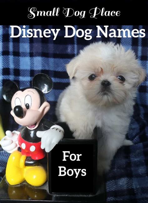 Dog names for a german shepherd or naming a siberian husky will likely have different criteria than what you'd sources of inspiration for funny dog names can come from a film character or comedian who made you giggle. Disney Dog Names for Boys in 2020 | Dog names, Disney dogs ...