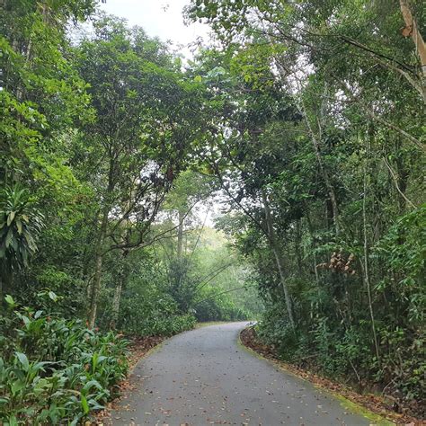 Ulu Sembawang Park Connector 新加坡 旅游景点点评 Tripadvisor