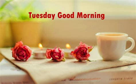 Hd good morning wallpaper image picture and best 2014 good morning sms quotes… good morning flower bouquet wallpaper free download in high quality widescreen resolutions. 131+ Tuesday Good Morning Quotes Images Pics for Whatsapp