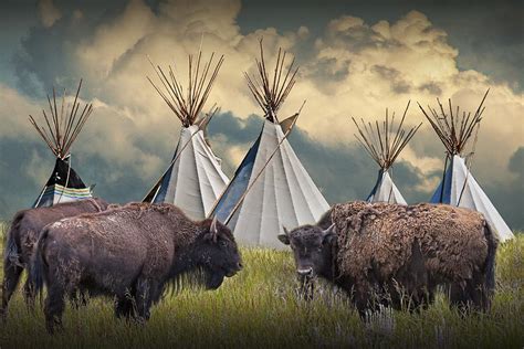 Buffalo Herd On The Reservation Photograph By Randall Nyhof Fine Art