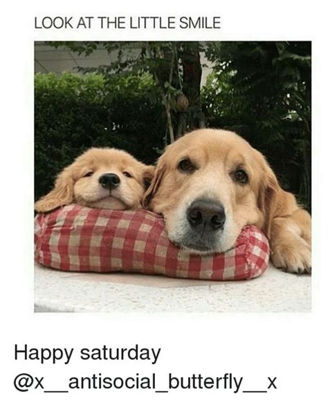 60 Best Happy Saturday Memes That Make You Smile