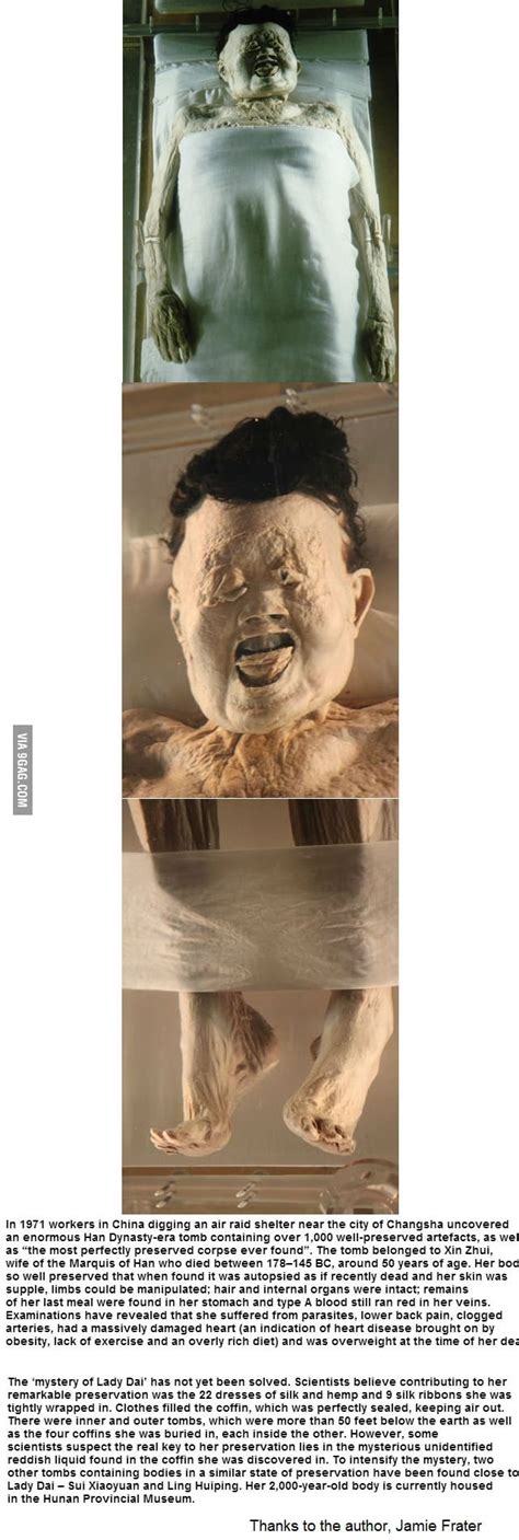 2000 Year Old Mummified Body The Lady Dai Mystery Xin Zhui 9gag