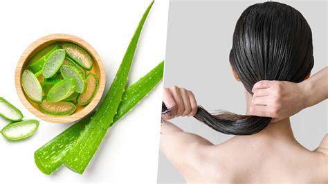 Top Image How To Use Aloe Vera On Hair Thptnganamst Edu Vn