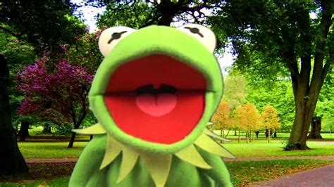 The Muppet Show Kermit The Frog Its Not Easy Being Green 50fps