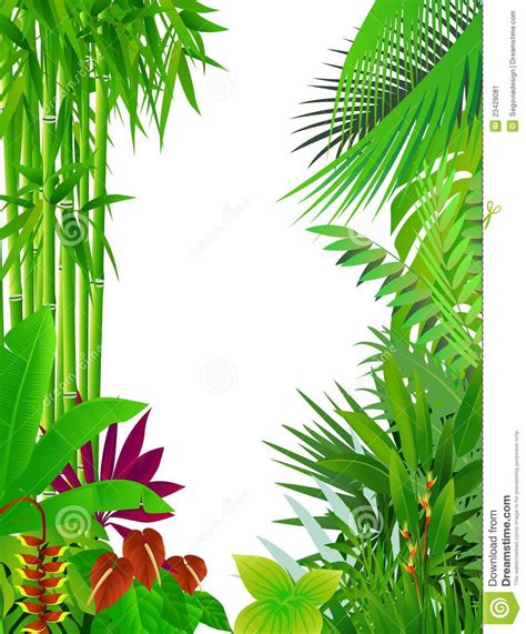 Jungle Borders Free Download On Clipartmag