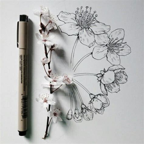 Aesthetic Flowers Tumblr Drawing Largest Wallpaper Portal